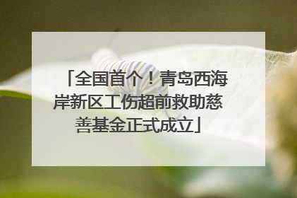 全国首个！青岛西海岸新区工伤超前救助慈善基金正式成立